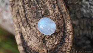 КАМНИ — ЭТО ОСКОЛКИ РАЗБИТОГО НЕБА
