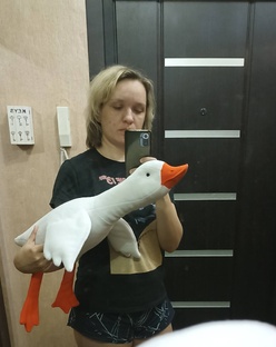 Шьём игрушки🪿🦖🐰