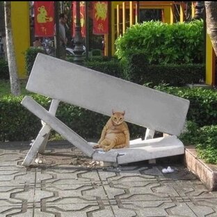 Всякое разное интересное