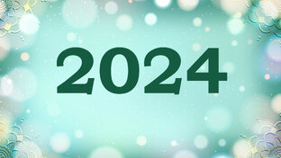 2024 год