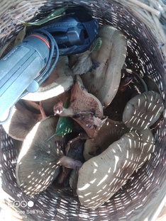 Мои подборки