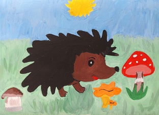 #Ежабрь#Осенние_ежи#Ежи#Осень