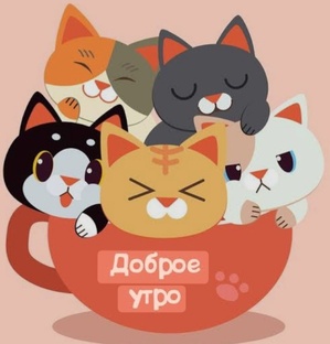 Animals 🐱🐶❤️