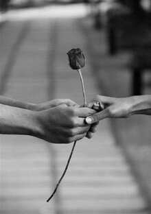 Ликбез по чувствам 