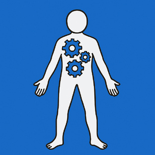 Биомеханика 