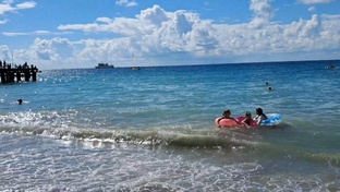 Лазаревское  2025