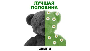 Лучшая половина Земли