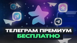телеграм премиум