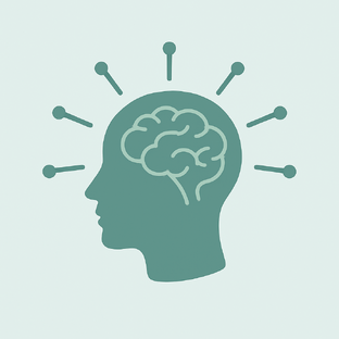 Факты о мозге