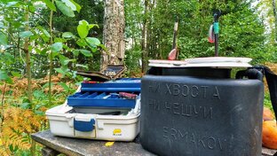 Рыболовные этюды