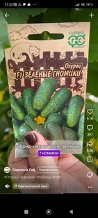 Огурцы. 