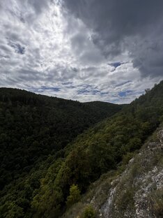 Самарская лука