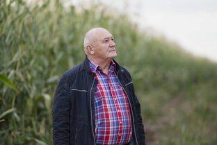 Крестьянские корни