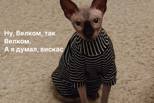 Итальянский язык 