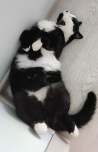 Чёрно-белая жизнь