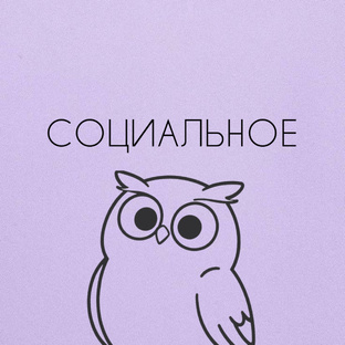 Социальное