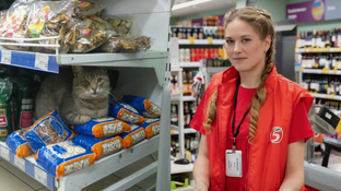 Изнутри профессий: признания подписчиков