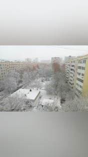 Вкусные места и кофе