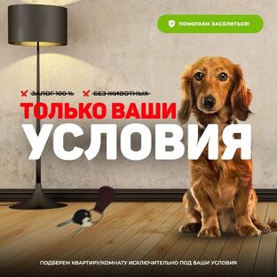 Брендированые Видео