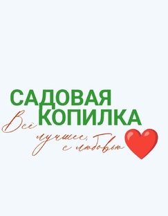Каталог 2025 год