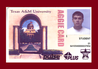 Лирические записки.