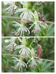 Природа вокруг нас