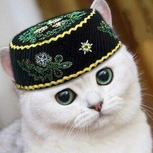 Татарстан супер гул 