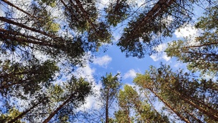 Матушка-земля!