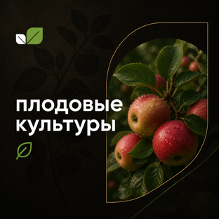 Плодовые культуры