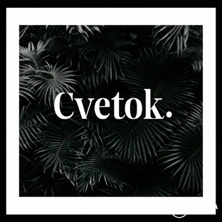 Растения 