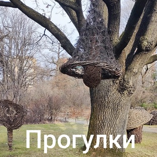 Прогулки, выставки, обзоры, магазины