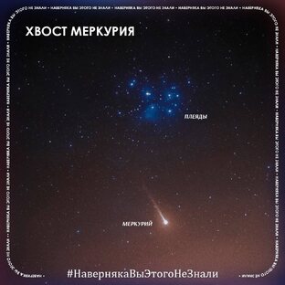 Наверняка, Вы этого не знали