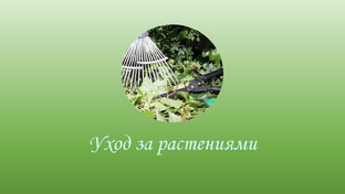 Уход за растениями
