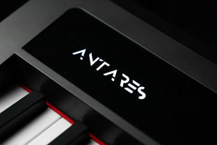 Особенности бренда