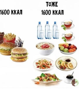 Питание - наше всё 💪 