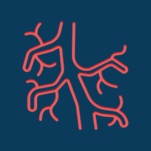 Флебология: Здоровье вен и сосудов