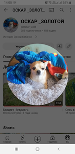 Новый герой роликов , .Оскар 