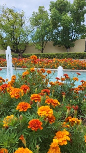 Солнечный берег природы...