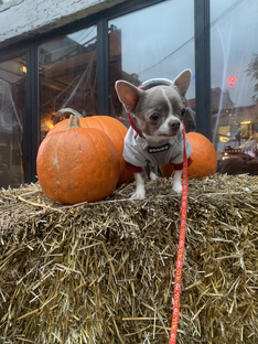 Наша жизнь 😂