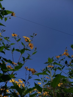 на злобу дня