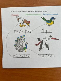 Страна чудес