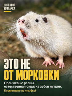 Интересные факты о животных