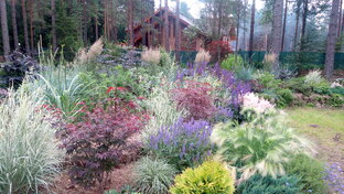 Содержание