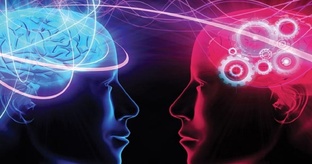 Необычные исследования