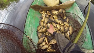 Верша, нырёта, мардушка, раколовка.