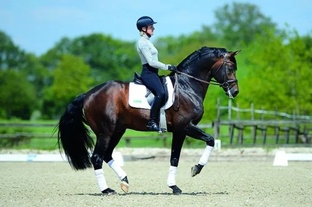 Упражнения и советы 