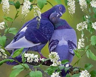 О любви и не только