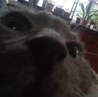 Влоги. Коротко о том, как прошëл мой день