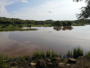 В дороге за окном. 