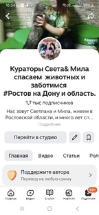 На канале подключены Донаты